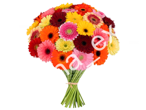 Конфетти