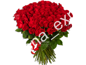 Фокстрот