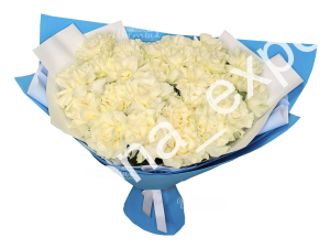 Эллизиум