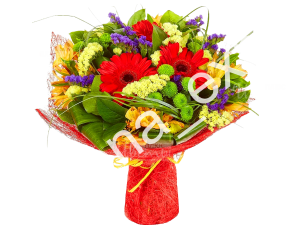 Флора