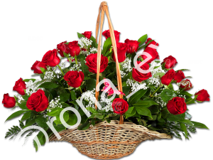 Red Наоми
