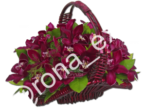 Орхидея