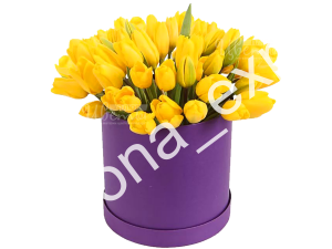 Стронг Голд