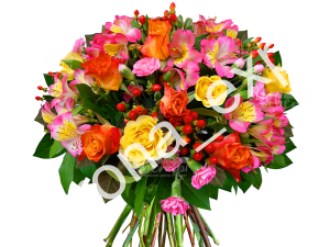 СОЛНЕЧНОЕ УТРО