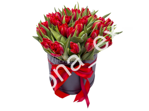 Red Passion