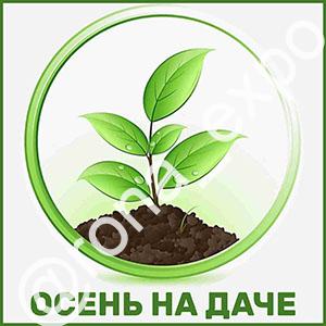 Выставка саженцев и цветов Осень на даче 2026
